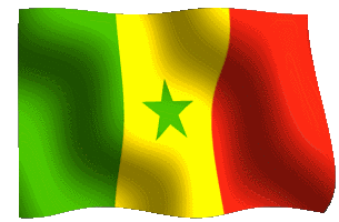 senegflag